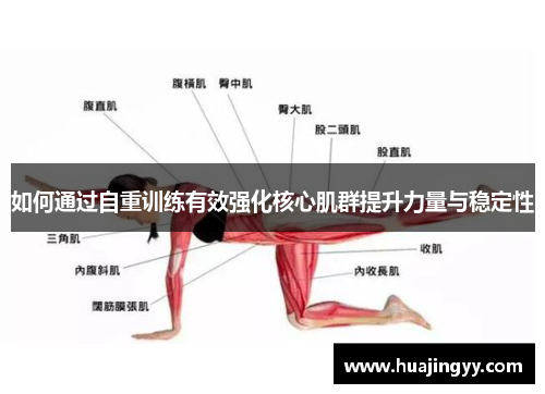 如何通过自重训练有效强化核心肌群提升力量与稳定性