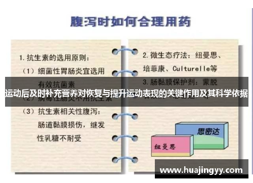 运动后及时补充营养对恢复与提升运动表现的关键作用及其科学依据